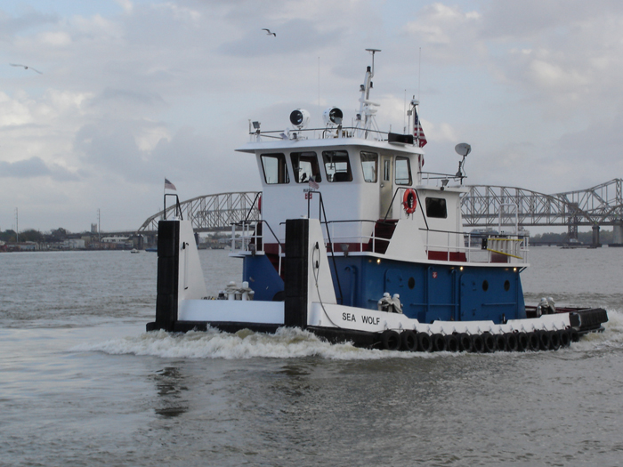 sea-wolf